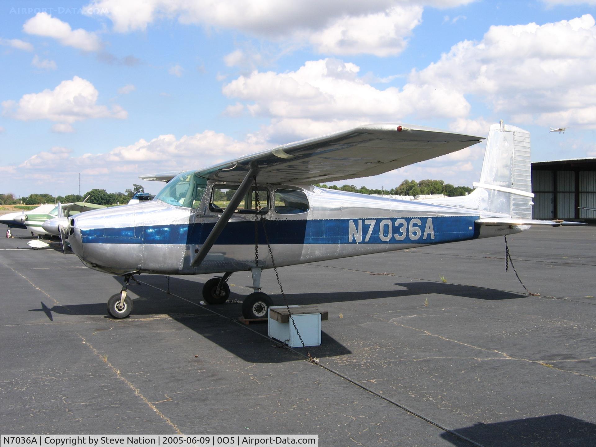 N7036A, 1956 Cessna 172 C/N 29136, Photographed at University Airport in Davis, CA