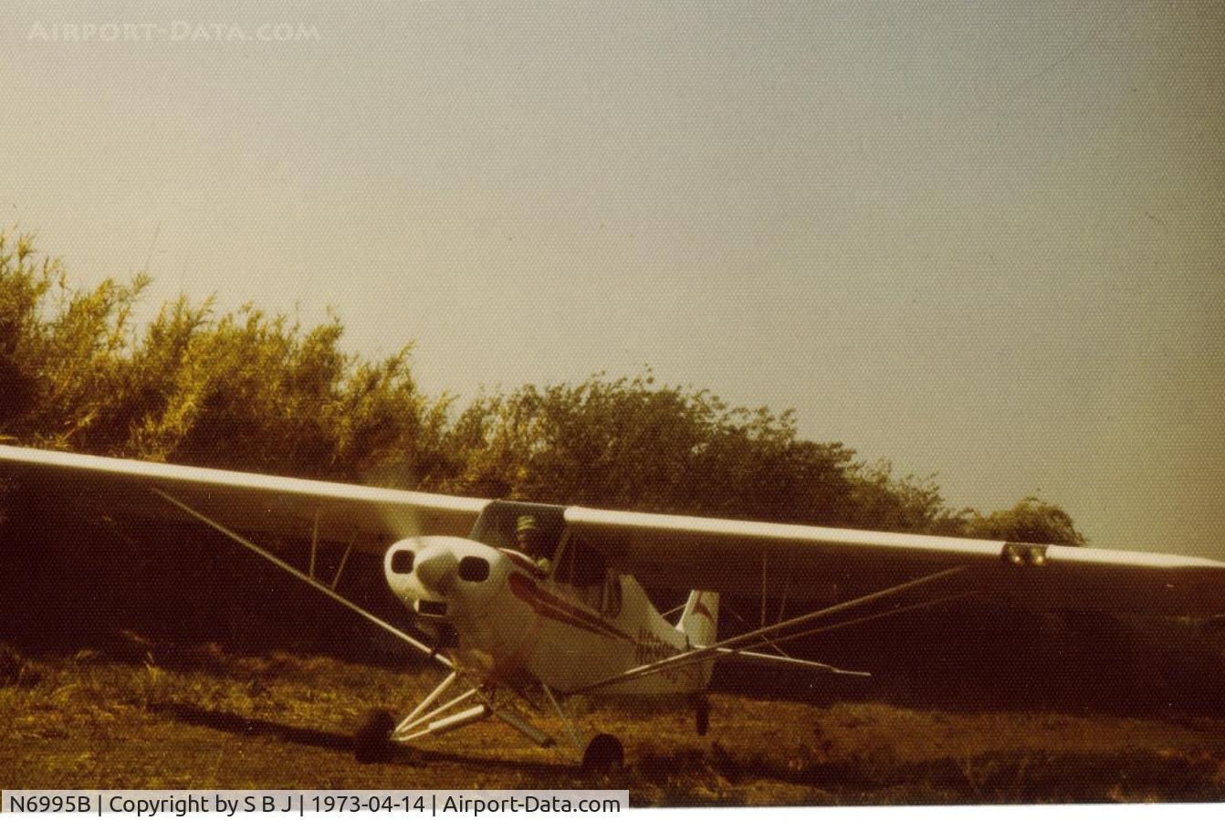 N6995B, 1956 Piper PA-18A-150 Super Cub C/N 18-5123, Takeoff from a private strip near Rio Vista,Ca. Bob shown here flying 95B, was the best naturally gifted pilot I personally ever knew. He also owned over 40 planes with 95B being his last and he felt his best. It was a privilege to watch Bob fly 95B.