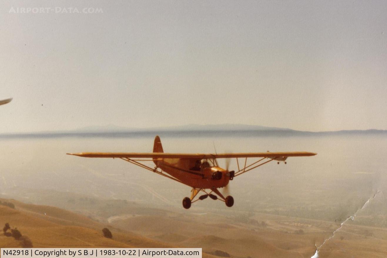 N42918, 1945 Piper J3C-65 Cub C/N 15254, 918 flying out of the Palo Alto airport on this beautiful day!