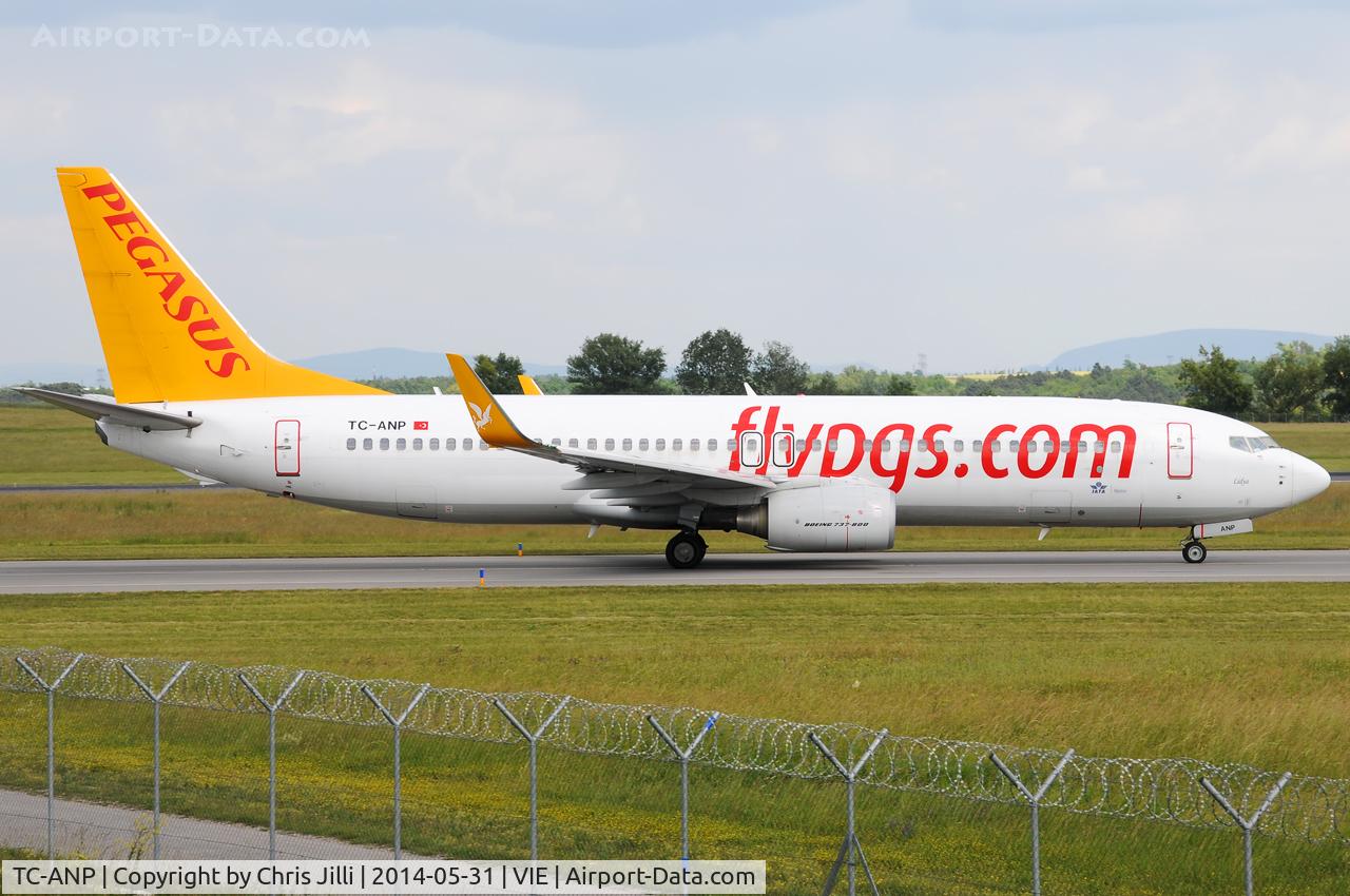 TC-ANP, 2011 Boeing 737-82R C/N 40722, Pegasus