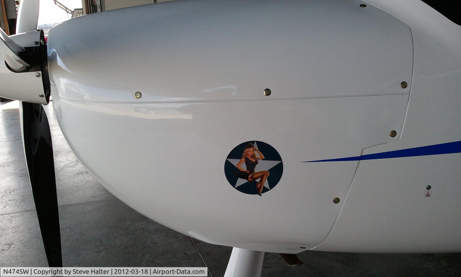 N474SW, 2007 Remos G-3/600 Mirage C/N 205, Artwork