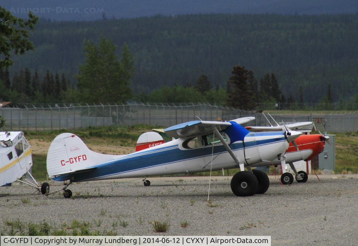 C-GYFD, 1952 Cessna 170B C/N 25022, Tied down at the local-aircraft parking at Whitehorse, Yukon.