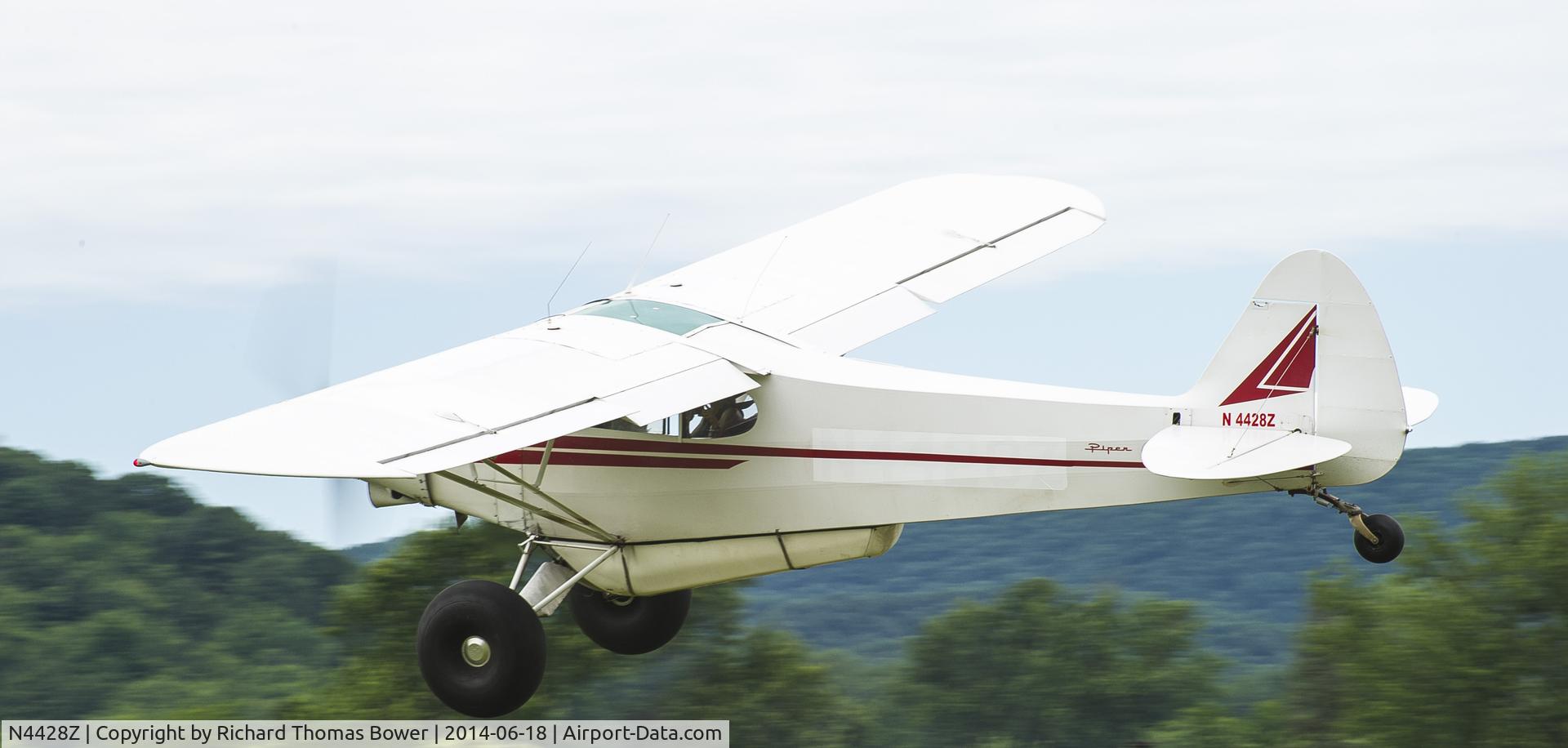 N4428Z, 1968 Piper PA-18-150 Super Cub C/N 18-8766, N4428Z as seen at the 2014 Sentimental Journey Fly-In at Lock Haven, PA.