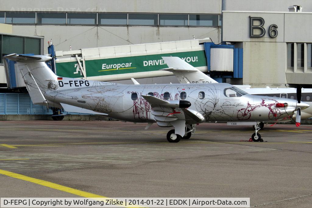 D-FEPG, 2011 Pilatus PC-12/47E C/N 1300, visitor