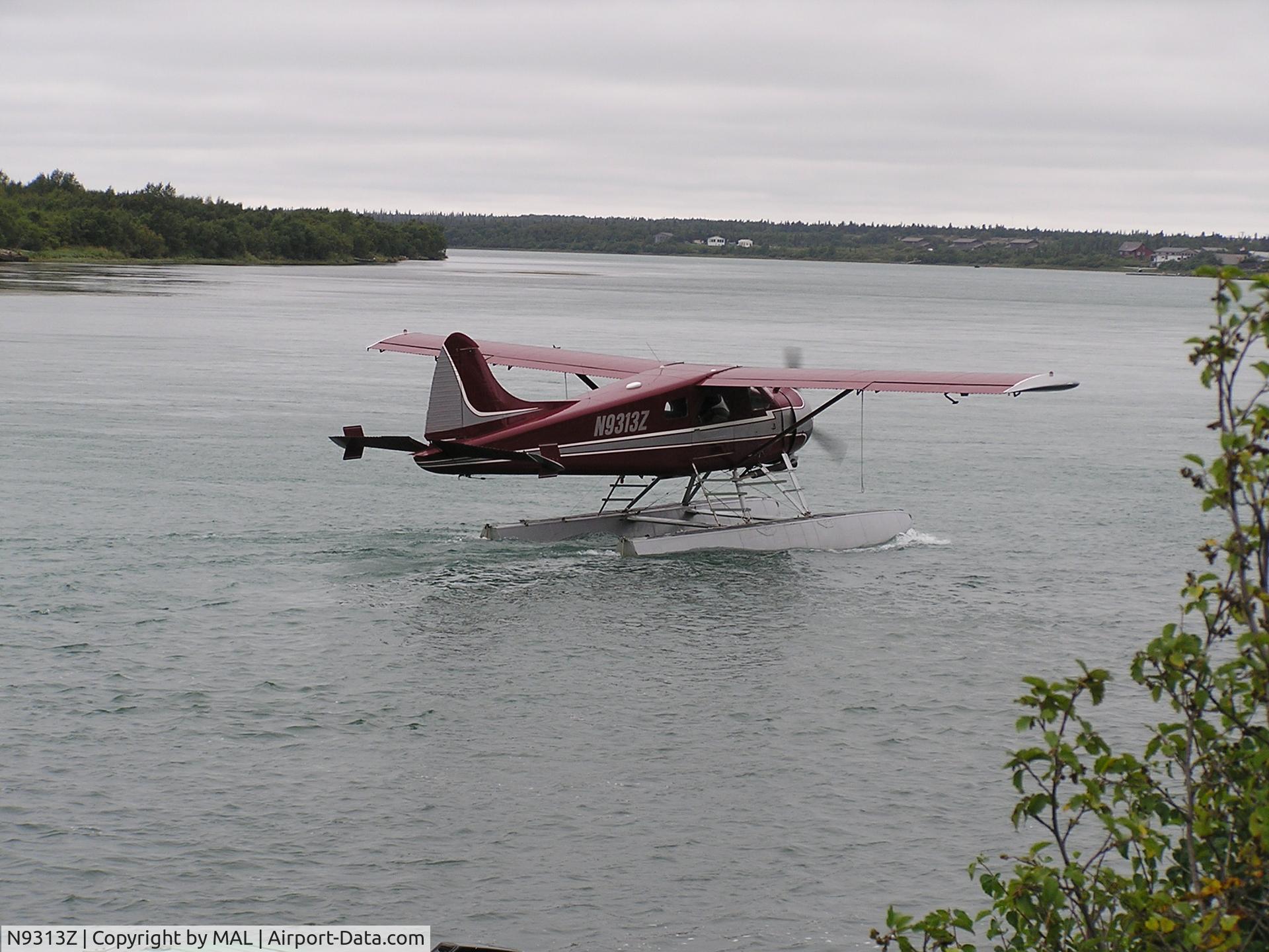 N9313Z, 1952 De Havilland Canada DHC-2 C/N 441, With Floats