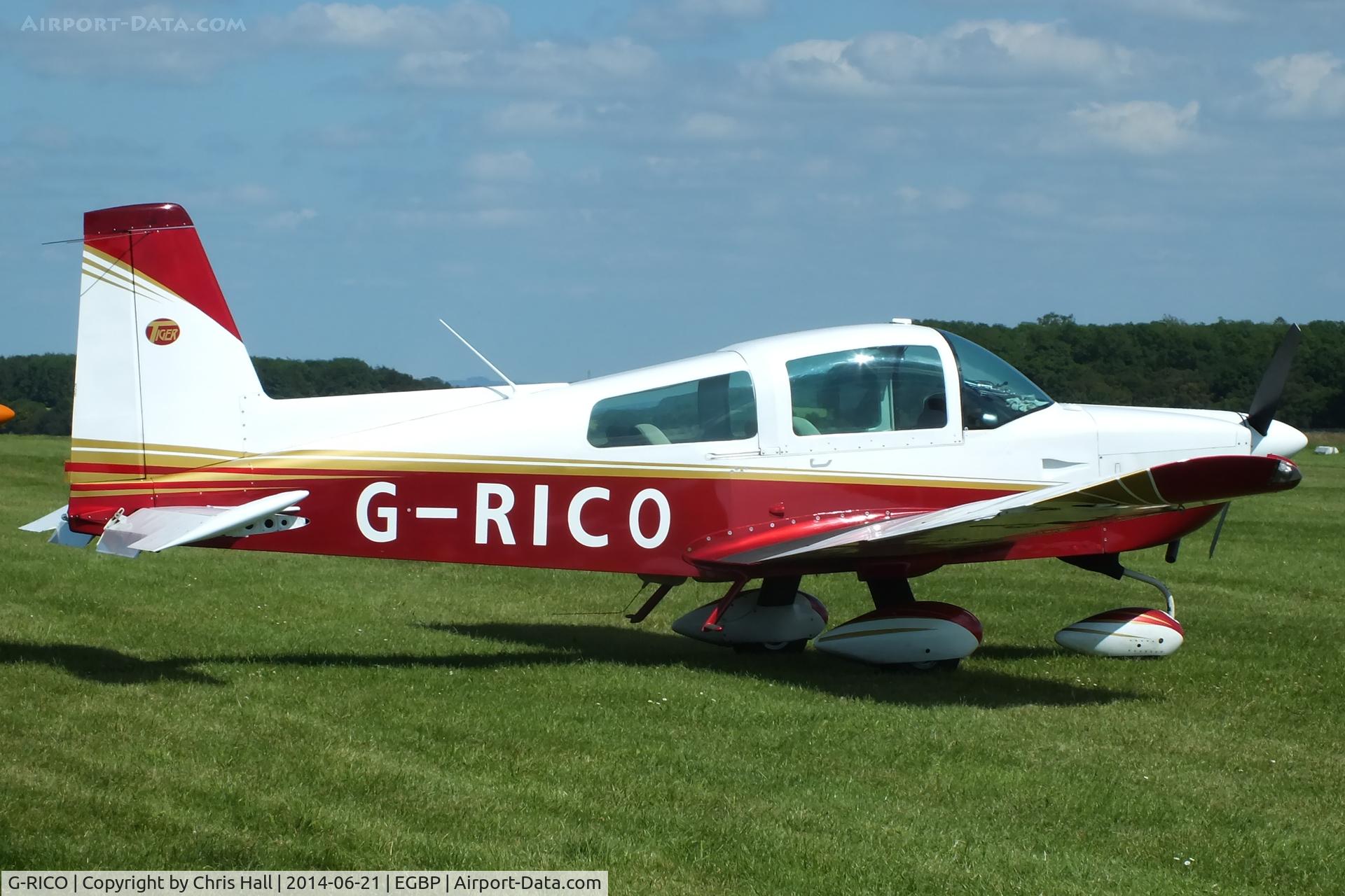 G-RICO, 1993 American General AG-5B Tiger C/N 10162, Delta Lima flying group