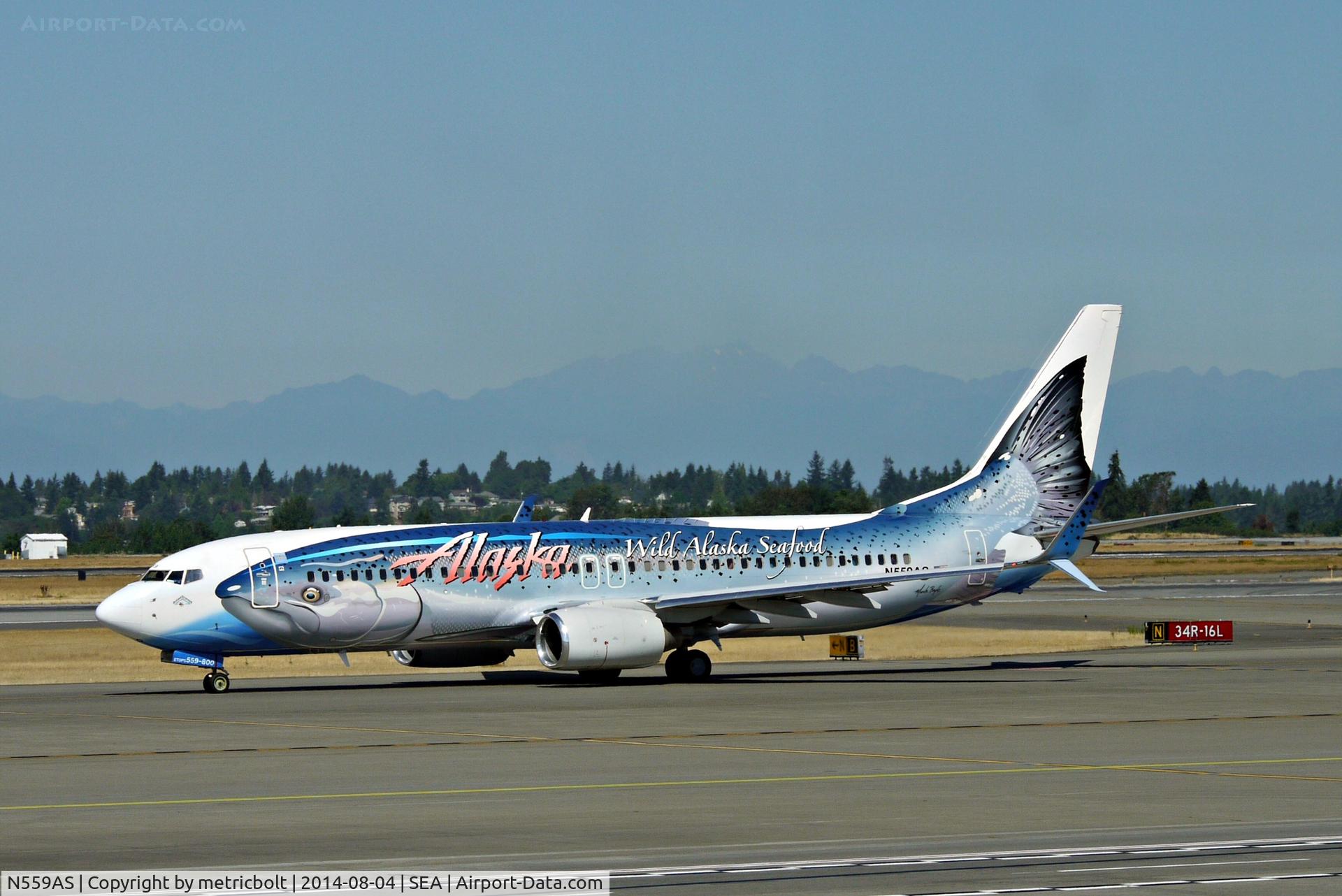 N559AS, 2006 Boeing 737-890 C/N 35178, at SeaTac