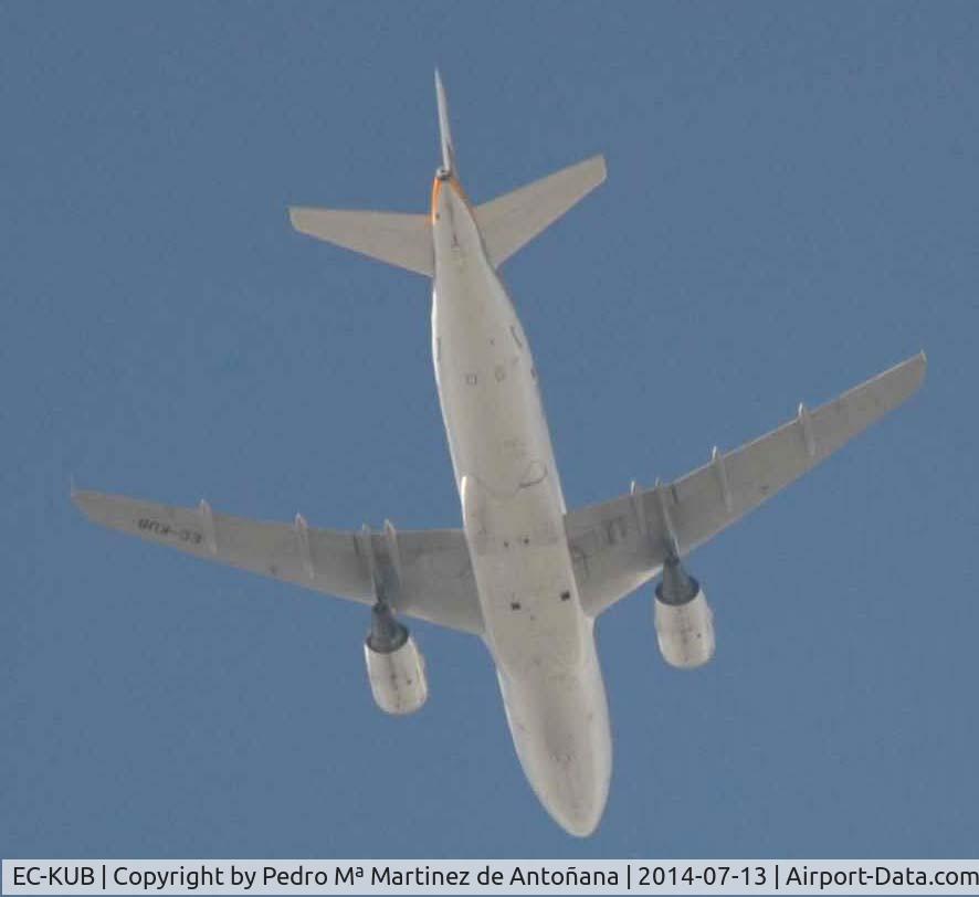EC-KUB, 2008 Airbus A319-111 C/N 3651, En vuelo