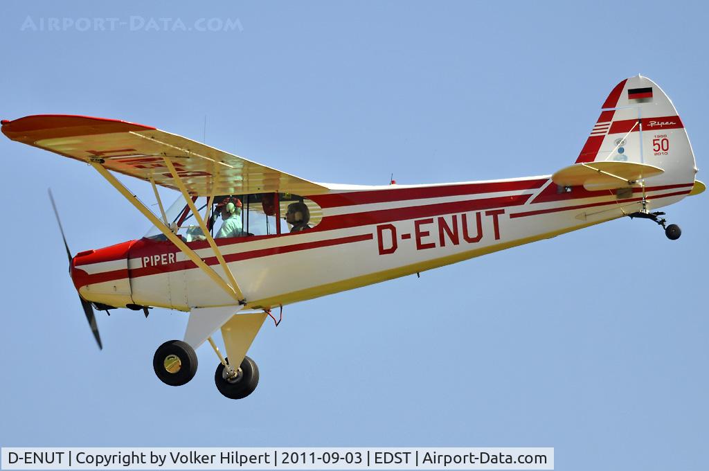 D-ENUT, 1953 Piper PA-18-95 Super Cub C/N 18-7260, at Hahn weide