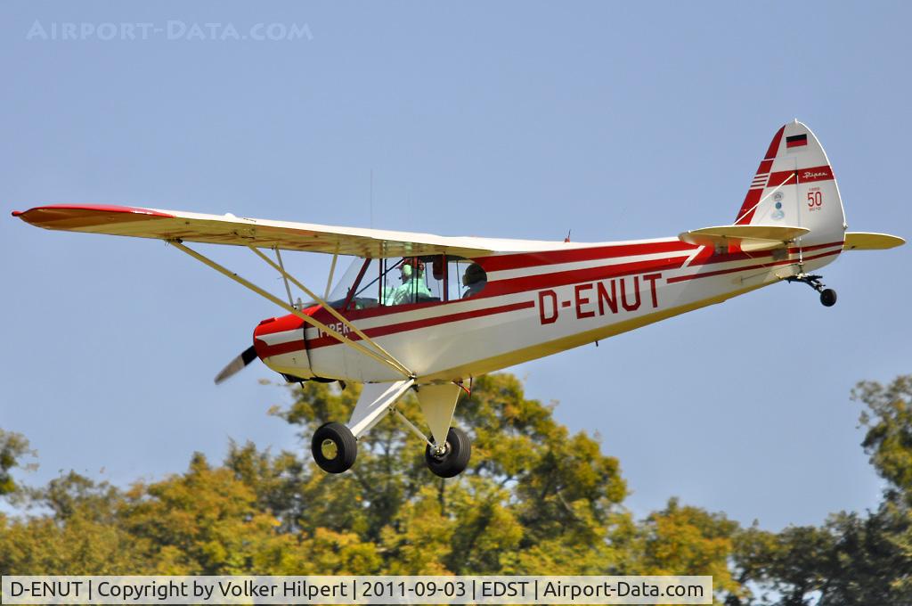 D-ENUT, 1953 Piper PA-18-95 Super Cub C/N 18-7260, at Hahnweide