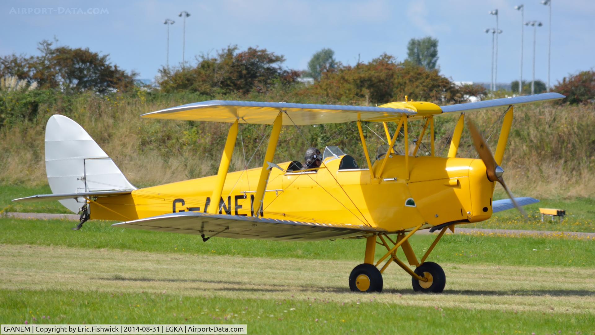 G-ANEM, 1940 De Havilland DH-82A Tiger Moth II C/N 82943, 3. G-ANEM at the superb 25th Anniversary RAFA Shoreham Airshow.