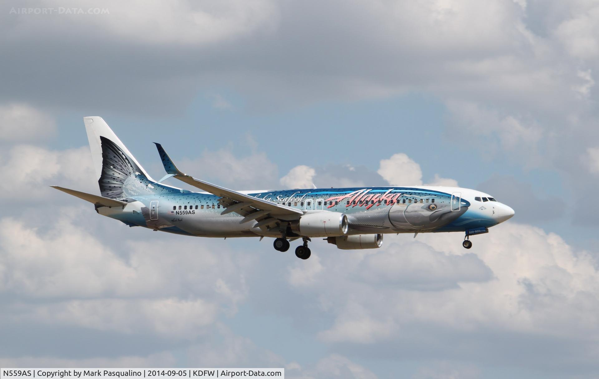 N559AS, 2006 Boeing 737-890 C/N 35178, Boeing 737-800