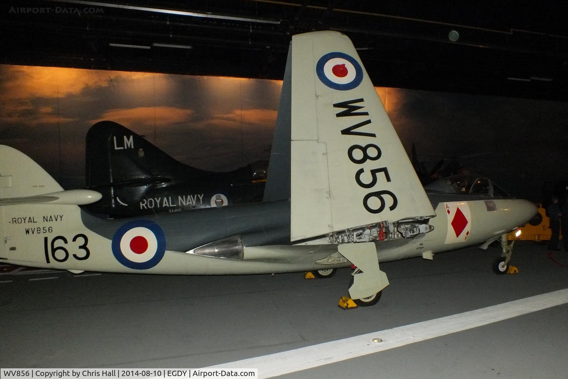 WV856, 1954 Hawker Sea Hawk FGA.6 C/N 6101, at the FAA Museum, Yeovilton
