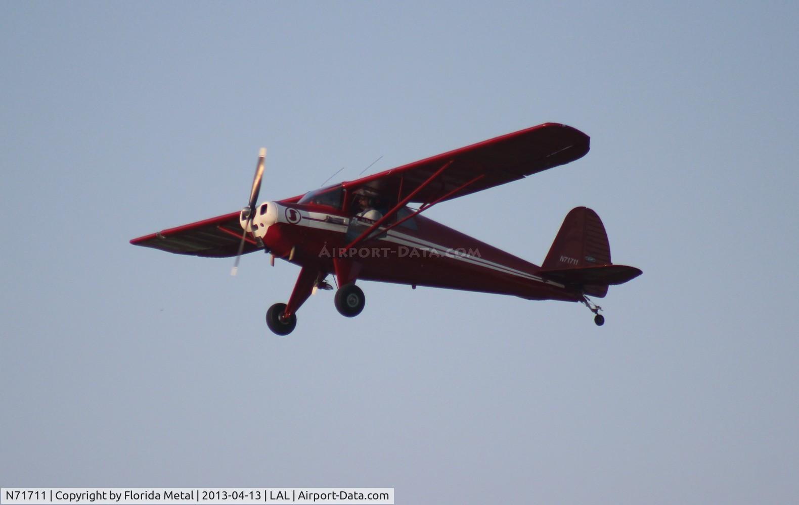 N71711, 1946 Luscombe 8A C/N 3138, Luscombe 8A