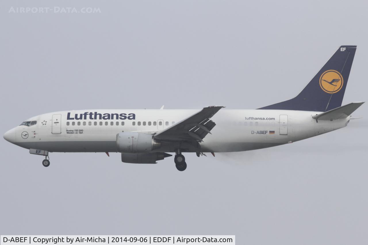D-ABEF, 1991 Boeing 737-330 C/N 25217, Lufthansa