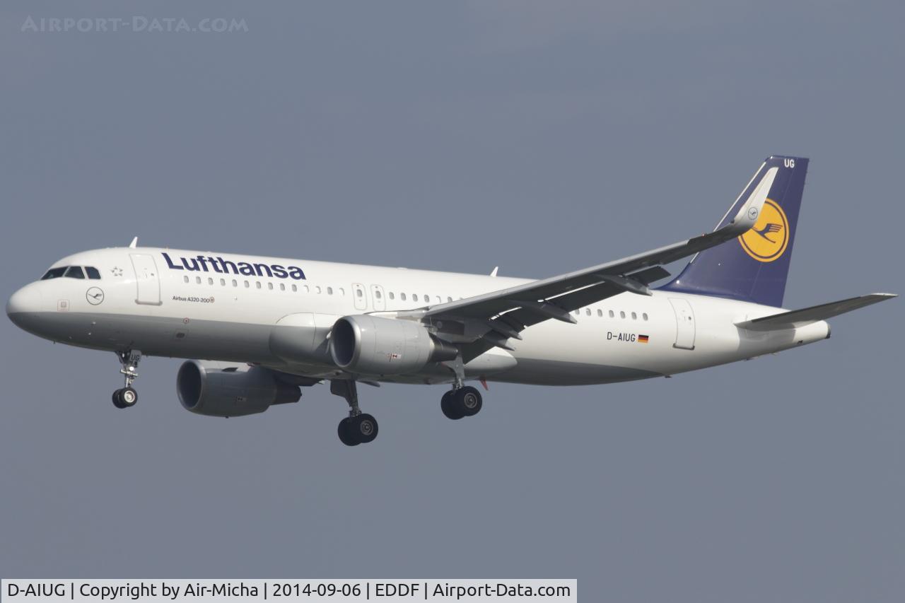 D-AIUG, 2014 Airbus A320-214 C/N 6202, Lufthansa