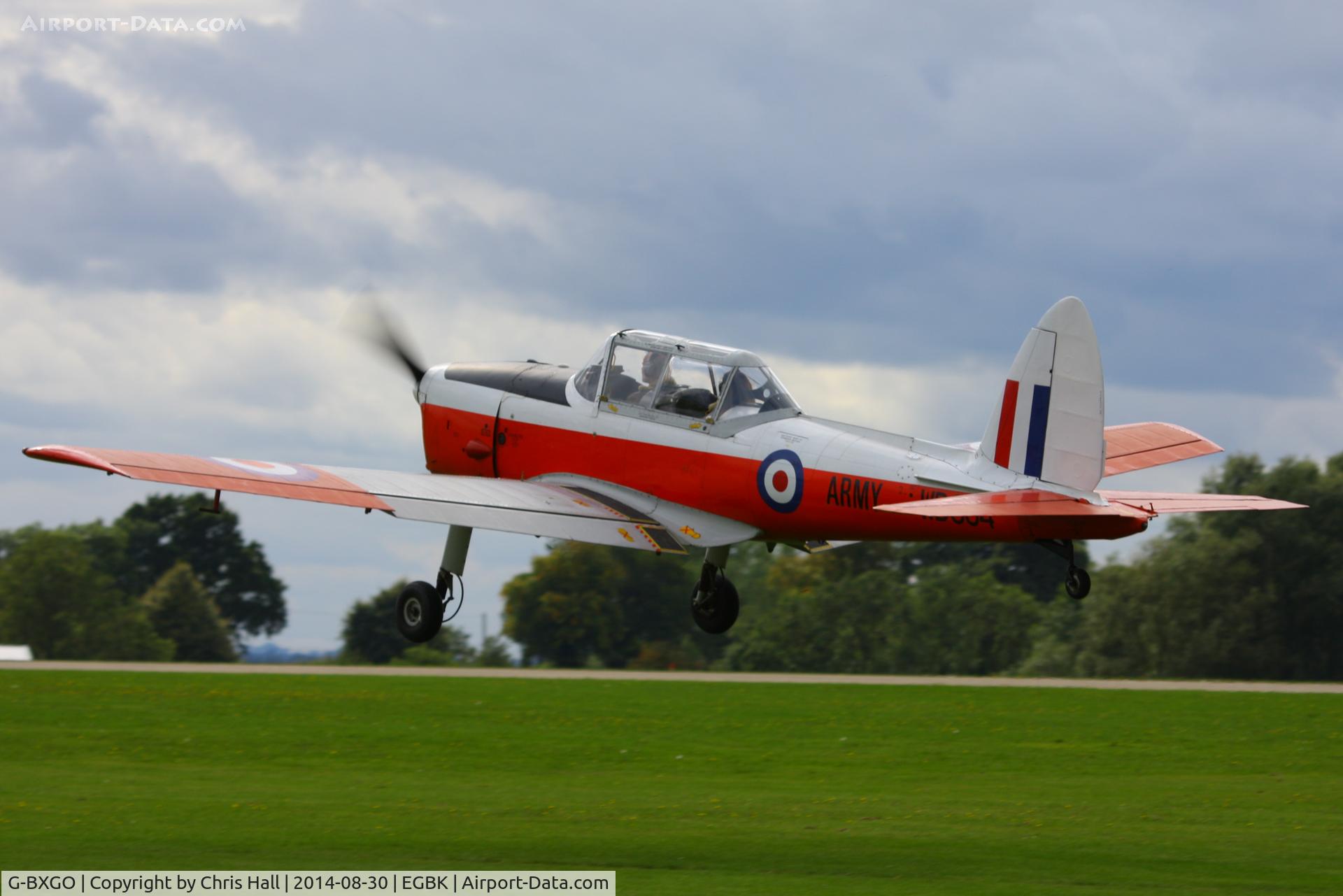 G-BXGO, 1950 De Havilland DHC-1 Chipmunk T.10 C/N C1/0097, at the LAA Rally 2014, Sywell