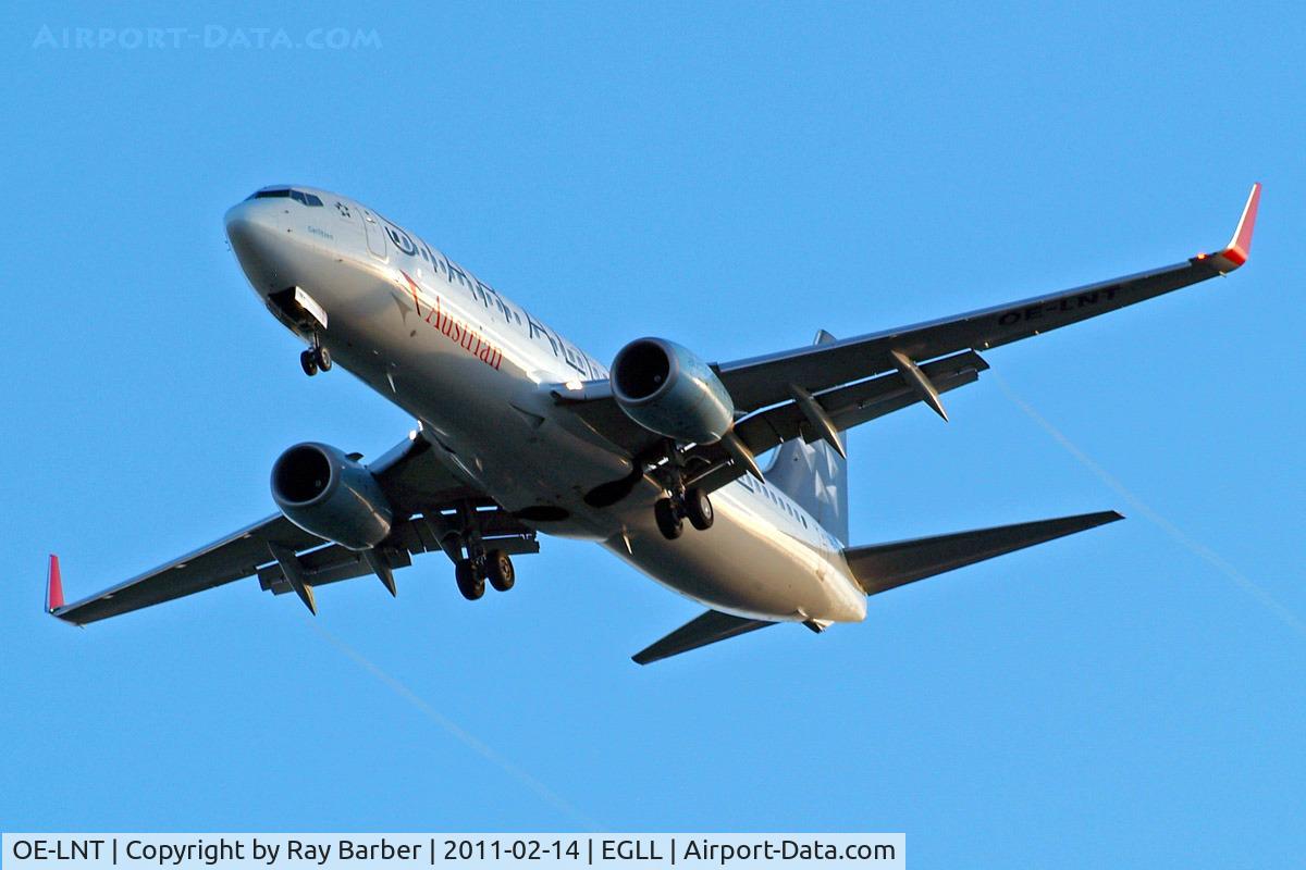 OE-LNT, 2006 Boeing 737-8Z9 C/N 33834, Boeing 737-8Z9 [33834] (Austrian Airlines) Home~G 14/02/2011