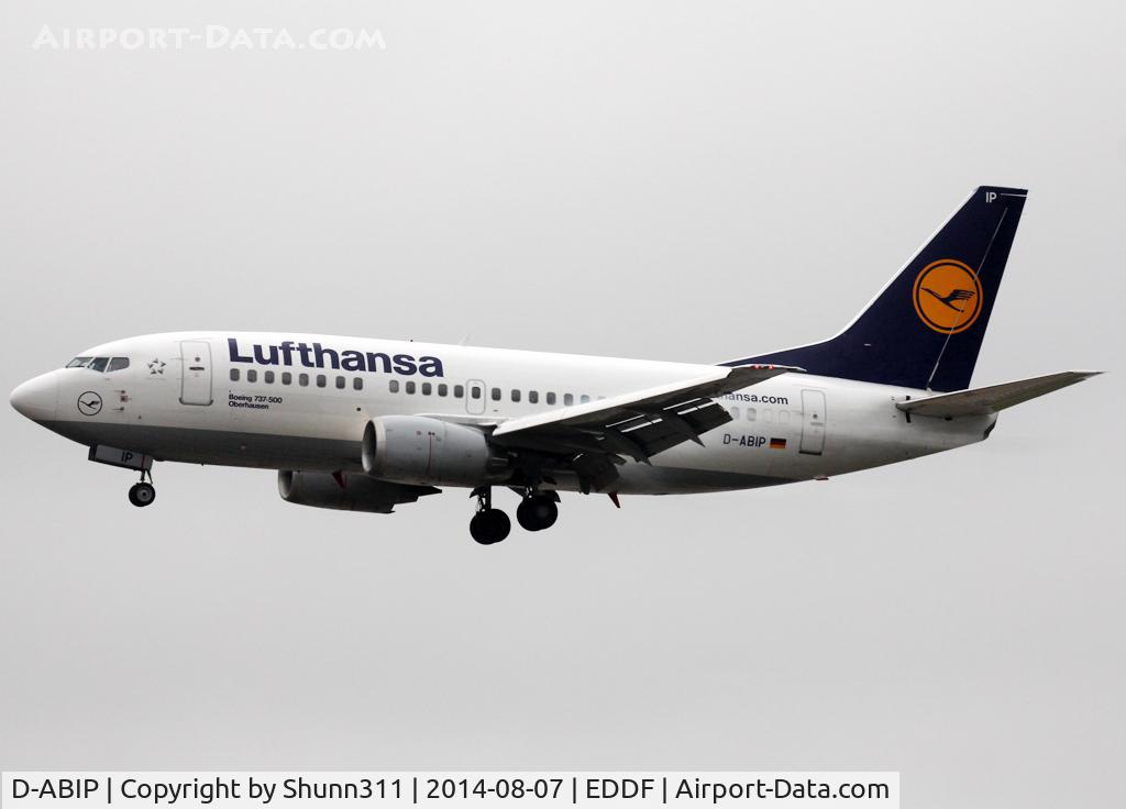 D-ABIP, 1991 Boeing 737-530 C/N 24940, Landing rwy 25L