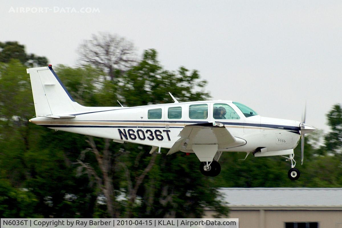 N6036T, 1981 Beech A36 Bonanza 36 C/N E-1847, Beech A36 Bonanza 36 [E-1847] Lakeland-Linder~N 15/04/2010