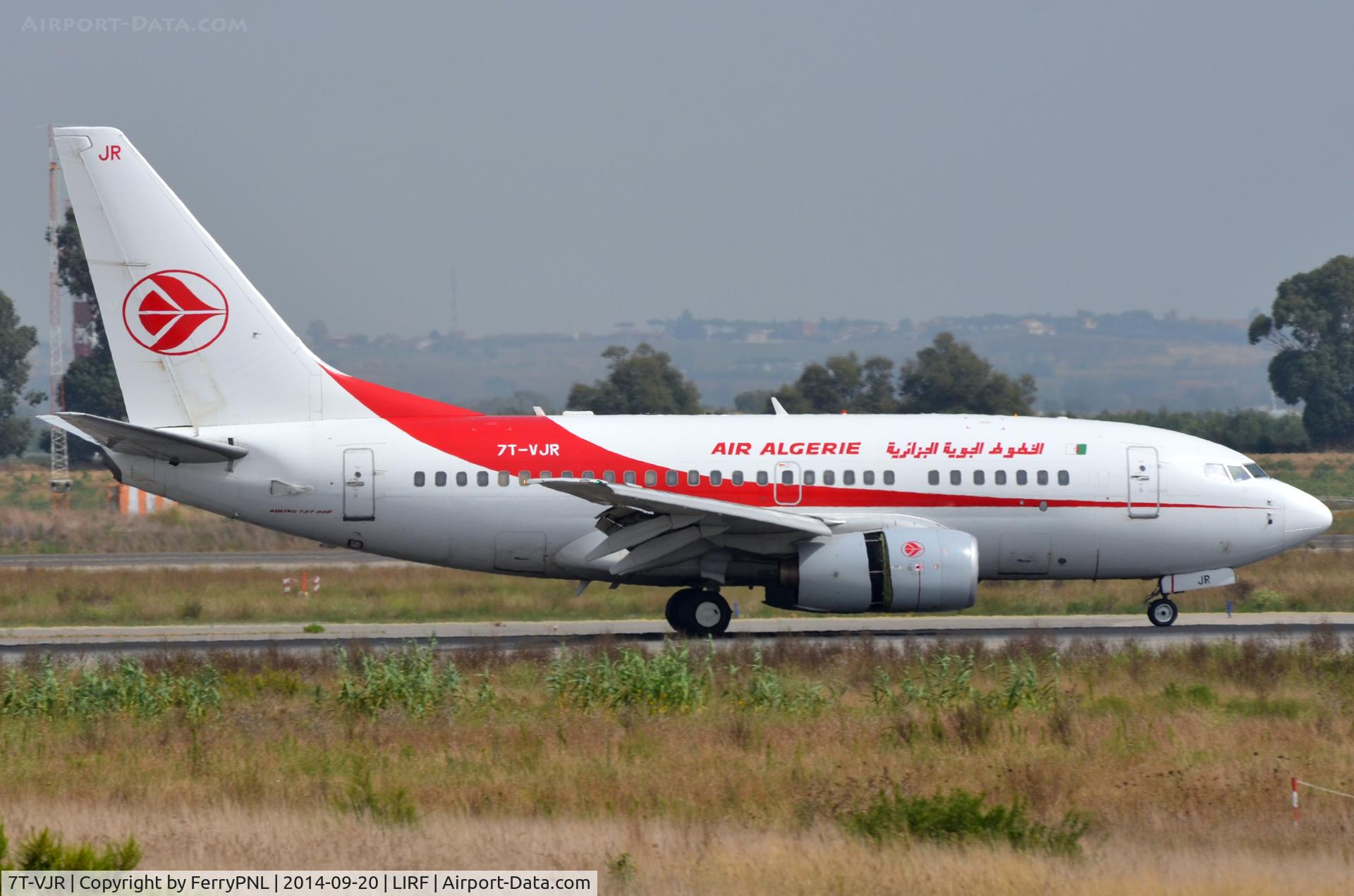 7T-VJR, 2002 Boeing 737-6D6 C/N 30545, It realy looks short in the colour of Air Algerie.