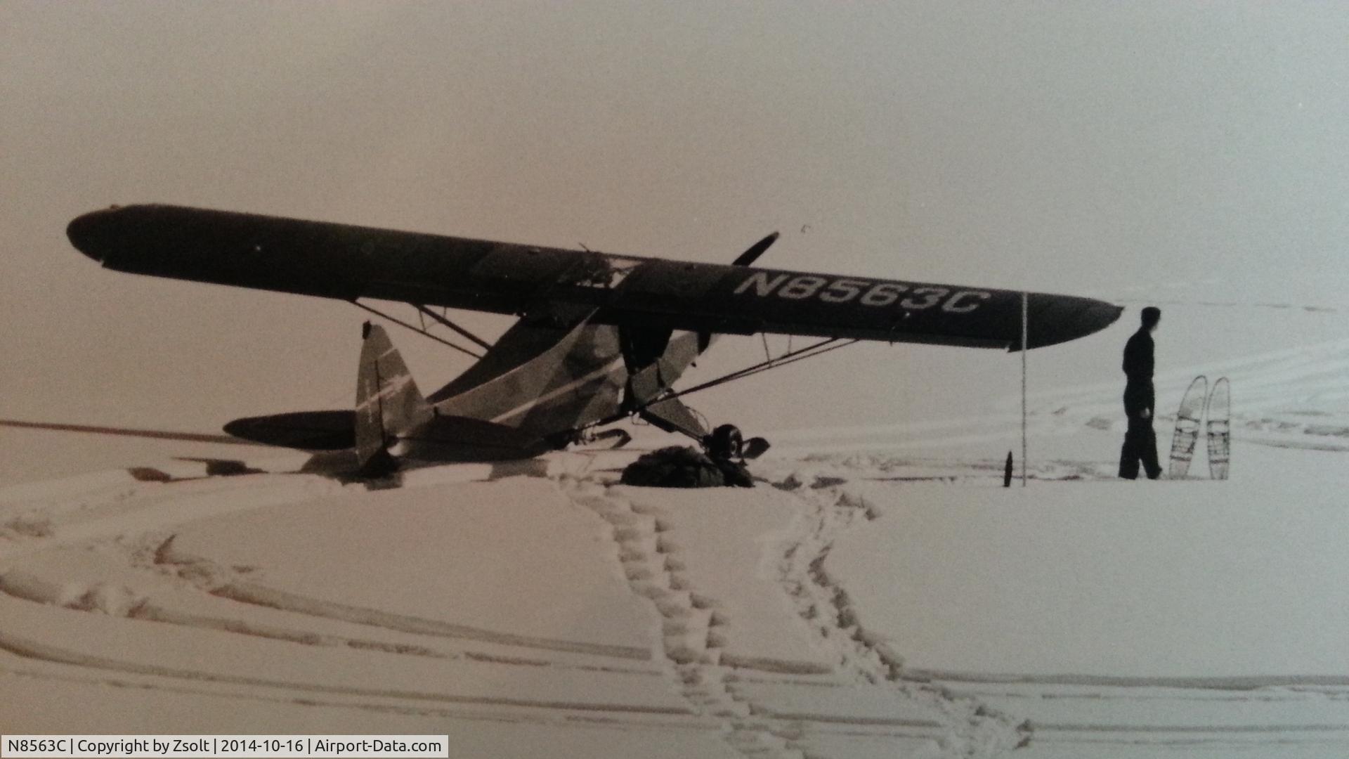 N8563C, 1953 Piper PA-18A-135 Super Cub C/N 18-2712, Seen on a hotel wall photo. Impressive.