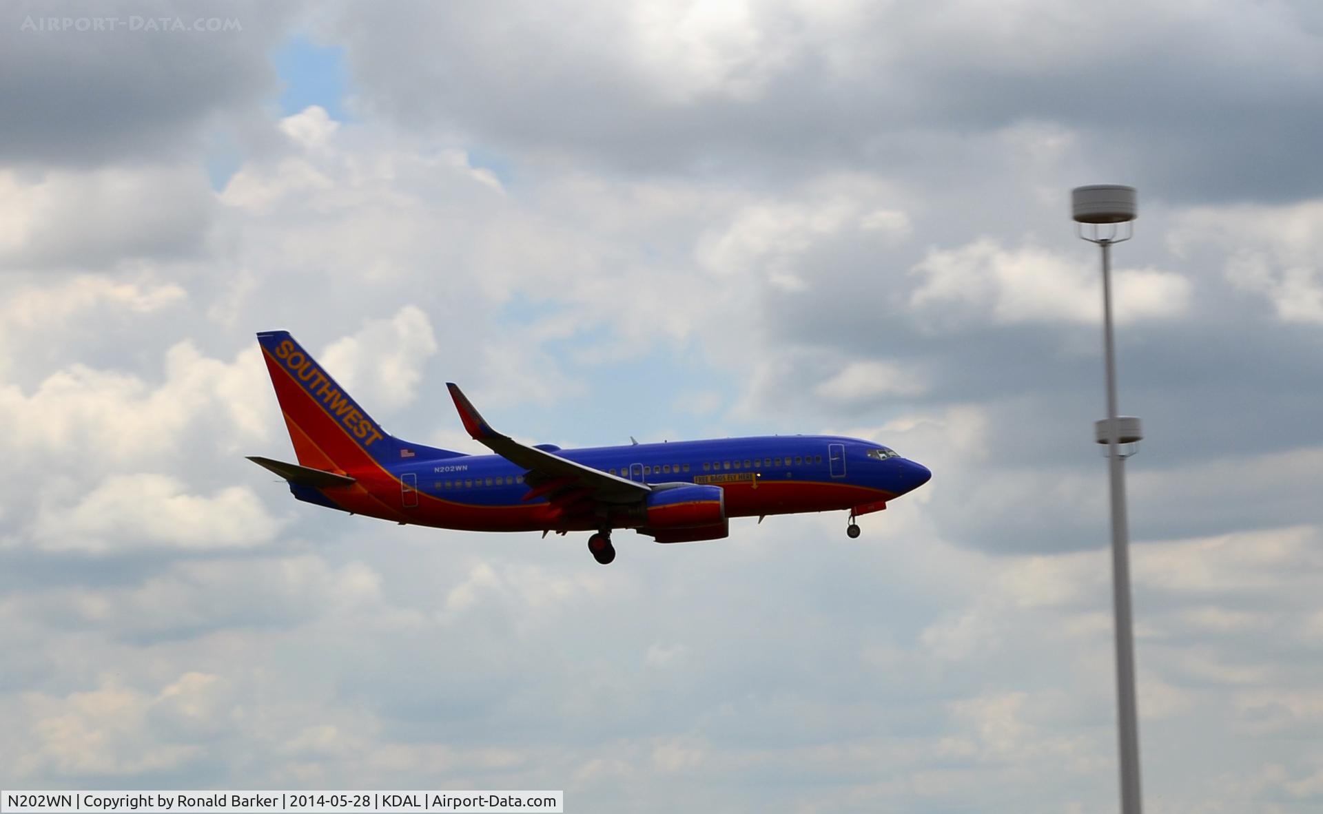 N202WN, 2005 Boeing 737-7H4 C/N 33999, Landing DAL