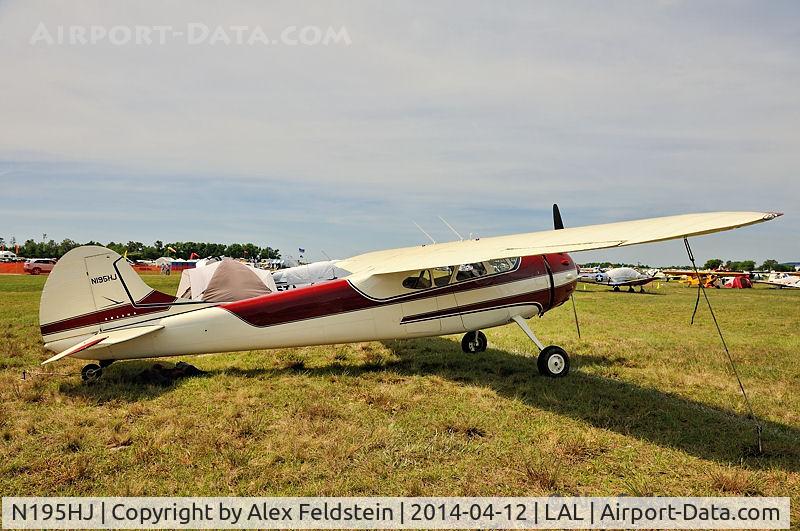 N195HJ, 1952 Cessna 195B Businessliner C/N 7880, Sun-N-FUn