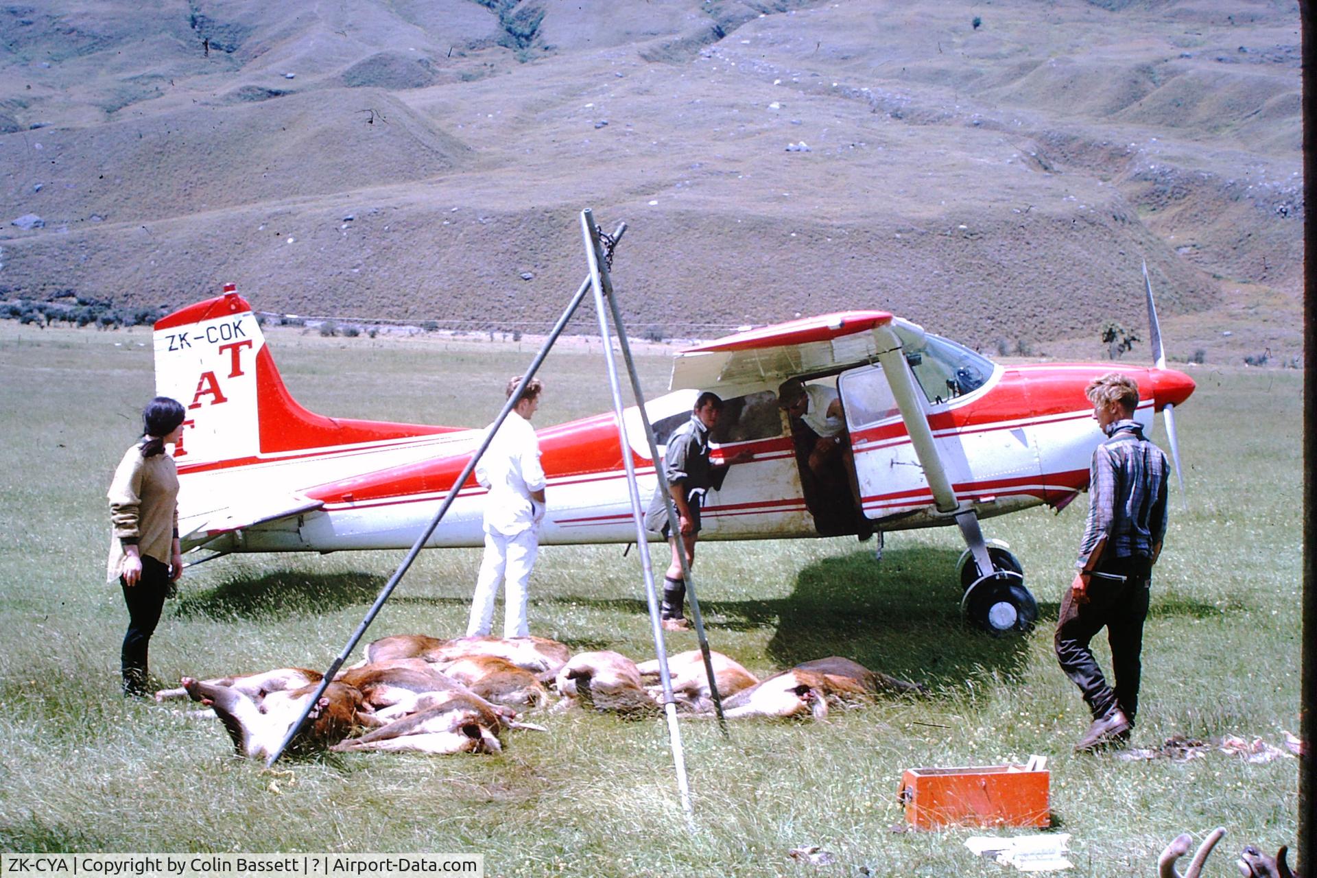 ZK-CYA, 1966 Cessna A185E Skywagon 185 C/N 185-1023, Saw this plane unloading deer carcasses in 1967