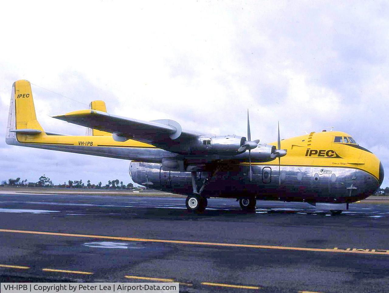 VH-IPB, 1966 Armstrong Whitworth AW650 Argosy 222 C/N 6805, Ipec Air Cargo Argosy at Essendon Airport Melbourne. Photo taken mid 1980's