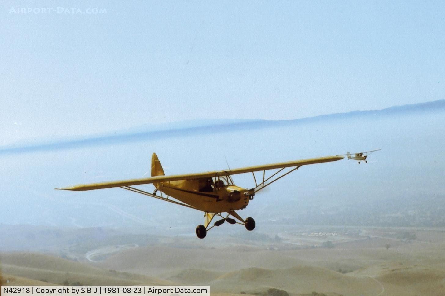 N42918, 1945 Piper J3C-65 Cub C/N 15254, 918 in flight.
