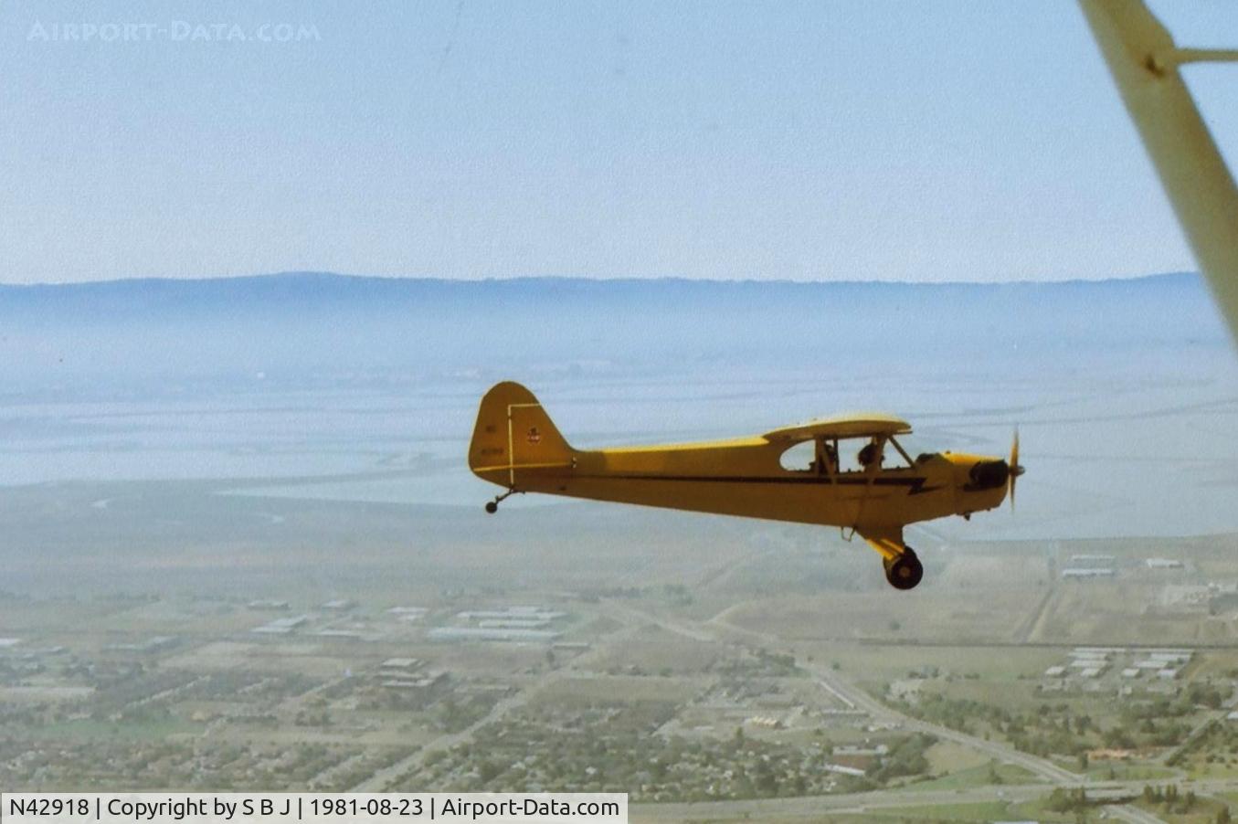N42918, 1945 Piper J3C-65 Cub C/N 15254, 918 profile.Easy to see why the J3 is so fast!