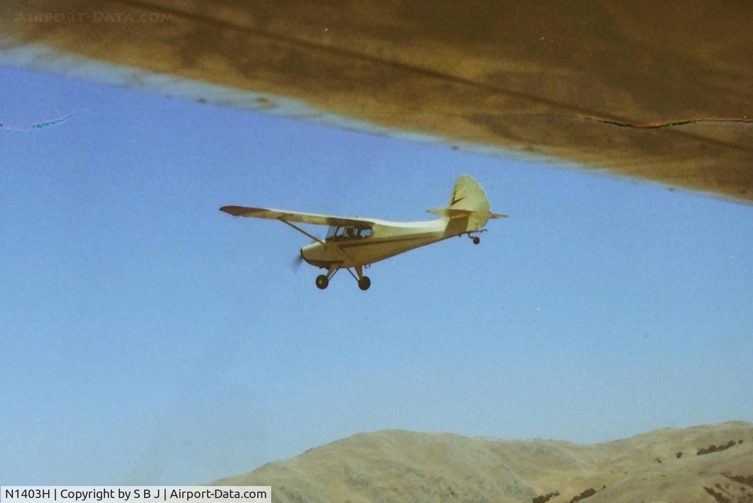 N1403H, 1950 Aeronca 15AC Sedan C/N 15AC-454, 03H in flight.