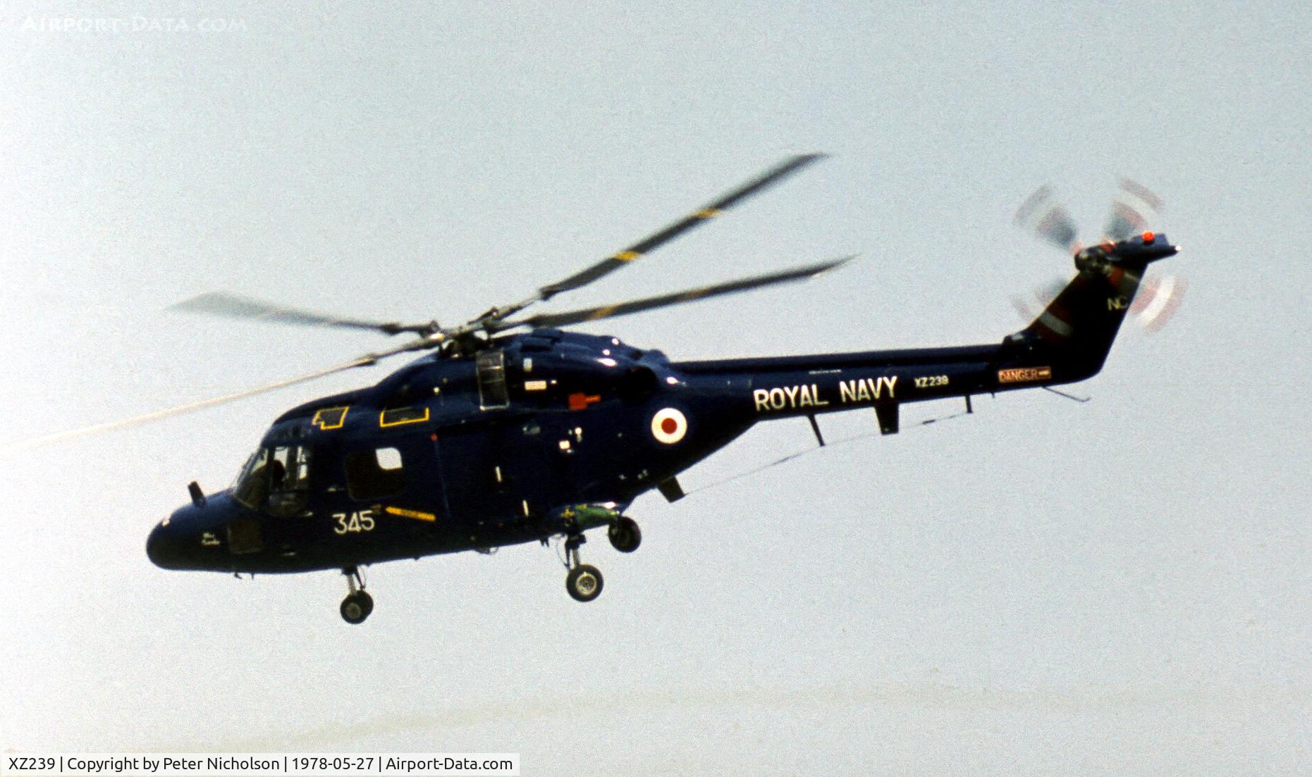 XZ239, 1977 Westland Lynx HAS.2 C/N 043, Lynx HAS.2 of 702 Squadron in action at the 1978 Bassingbourn Airshow.