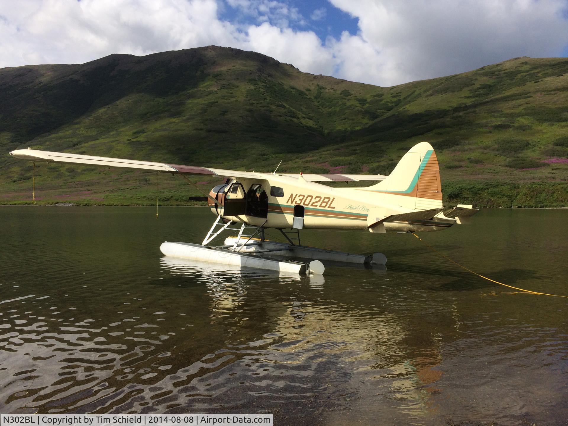 N302BL, 1954 De Havilland Canada DHC-2 Beaver Mk.1 (L20A) C/N 613, Bristol Bay, AK