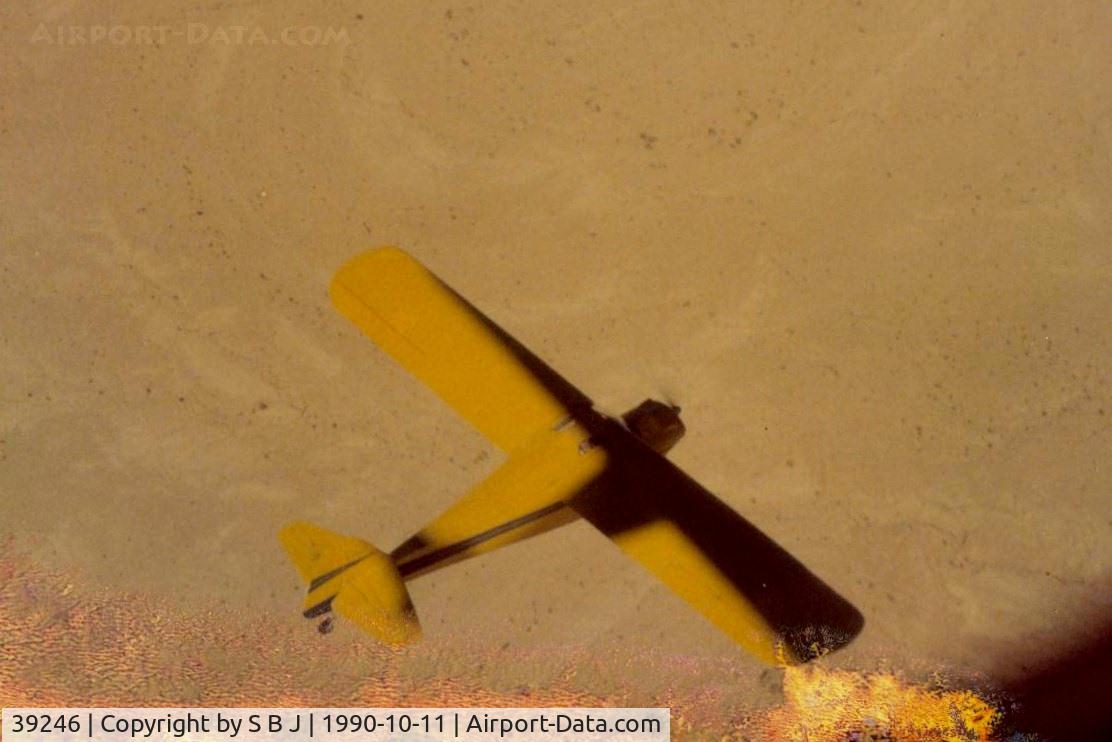 39246, 1945 Taylorcraft BC-12D Twosome C/N 6500, Top view of 246 in partial shade.