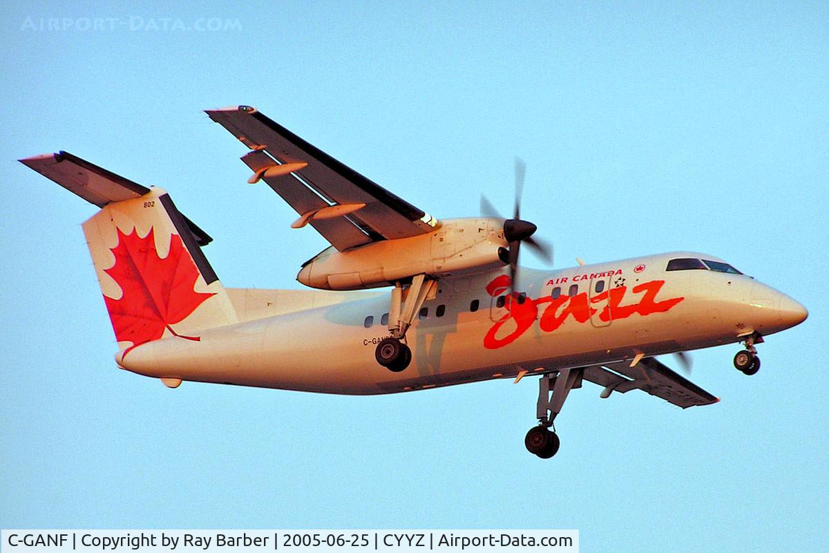 C-GANF, 1986 De Havilland Canada DHC-8-102 Dash 8 C/N 042, De Havilland Canada DHC-8-102 Dash 8 [042] (Air Canada Jazz) Toronto~C 25/06/2005
