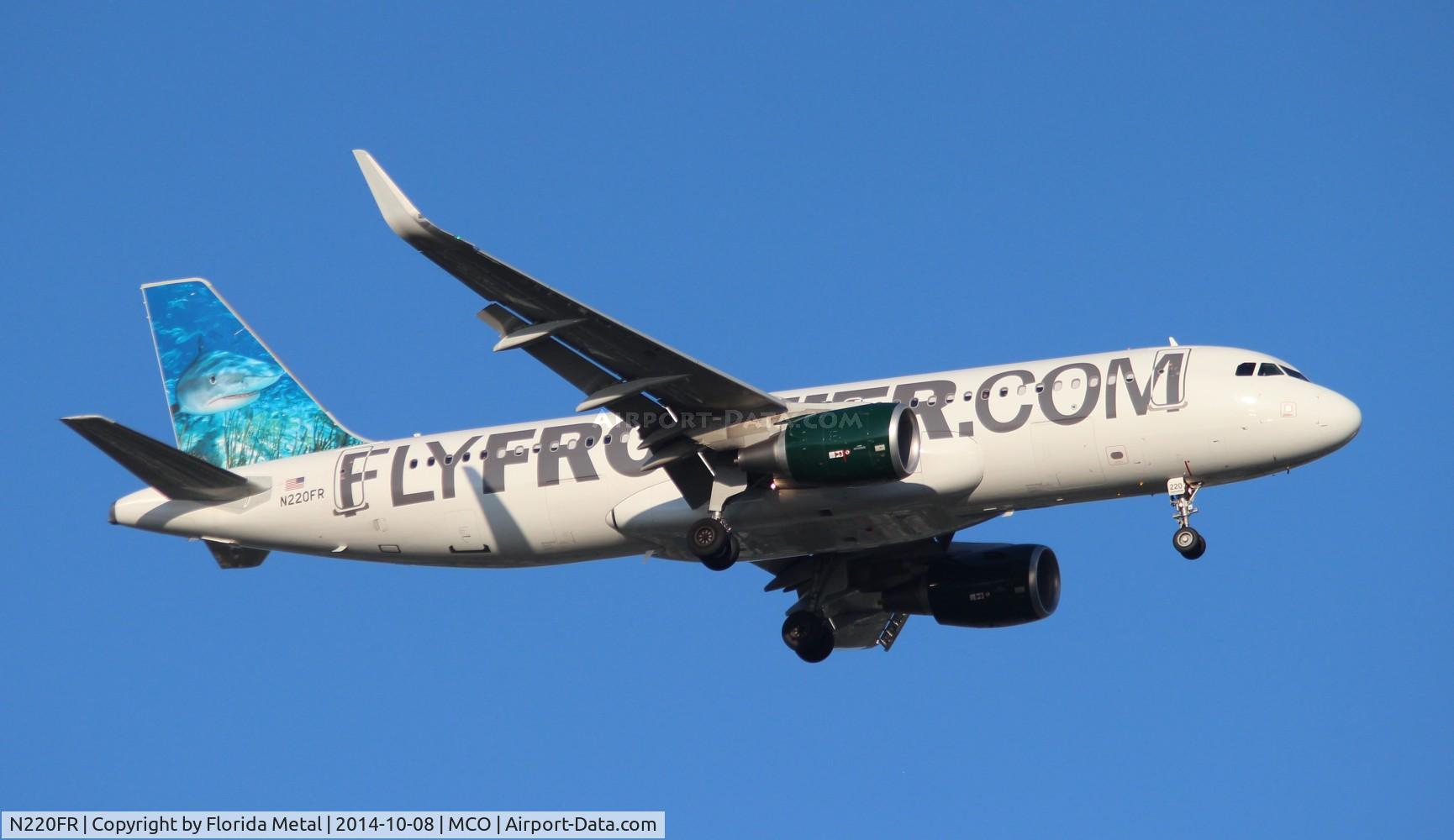 N220FR, 2013 Airbus A320-214 C/N 5661, Finn the Shark