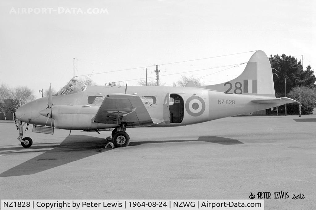 NZ1828, De Havilland DH-104 Dove 1B C/N 04426, Central Flying School