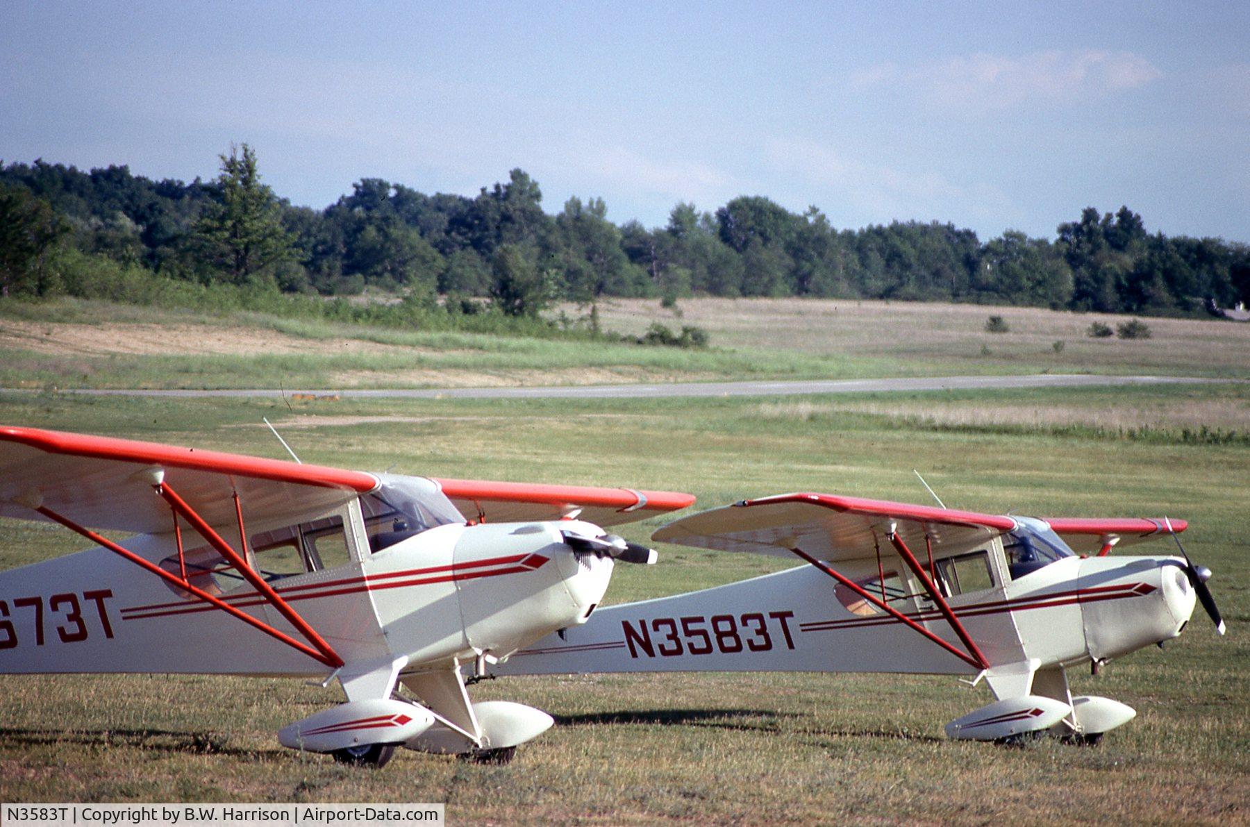 N3583T, 1976 Taylorcraft F-19 Sportsman C/N F-051, With it's sister, N3673T at Oakland Orion Airport