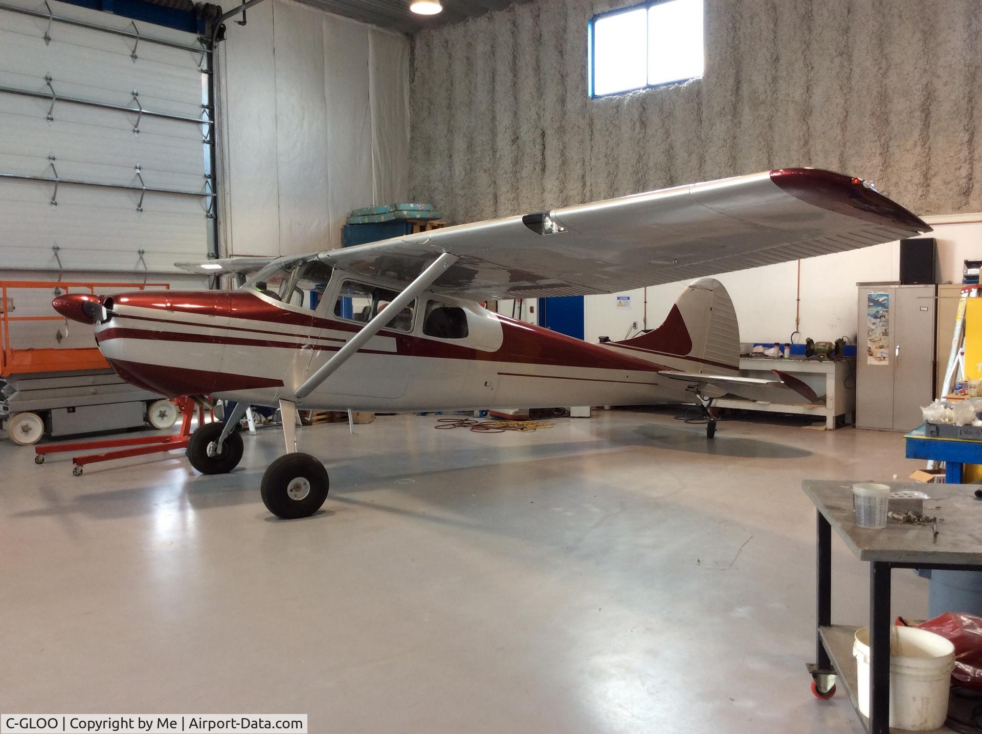C-GLOO, 1955 Cessna 170B C/N 26911, New paint