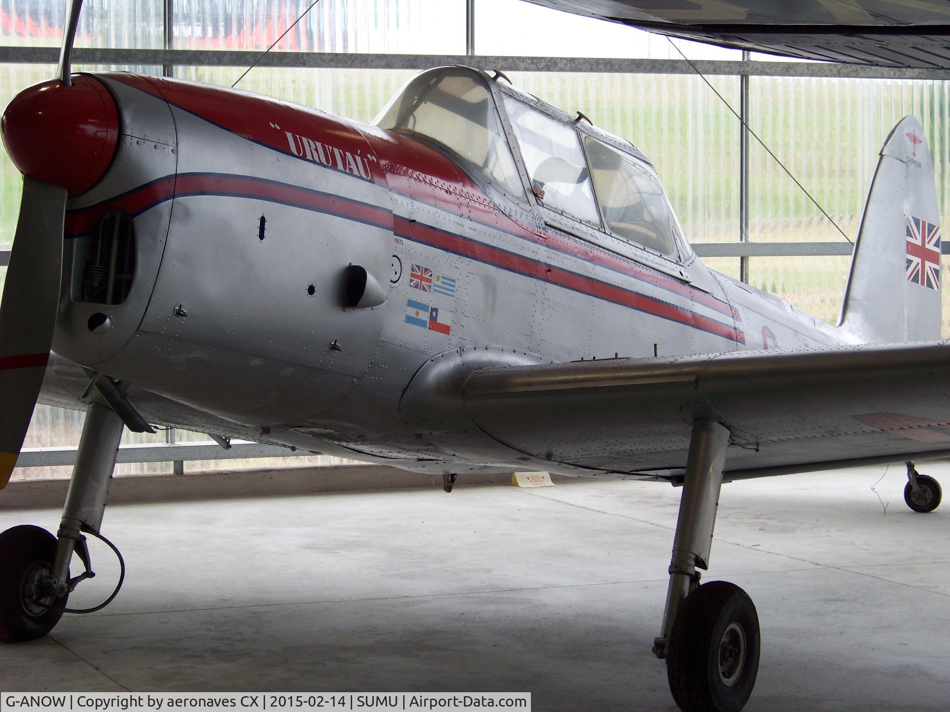 G-ANOW, 1954 De Havilland DHC-1 Chipmunk 21 C/N C1/0972, Museo Aeronáutico Cnel. Av. Jaime Meregalli - Canelones Uruguay.