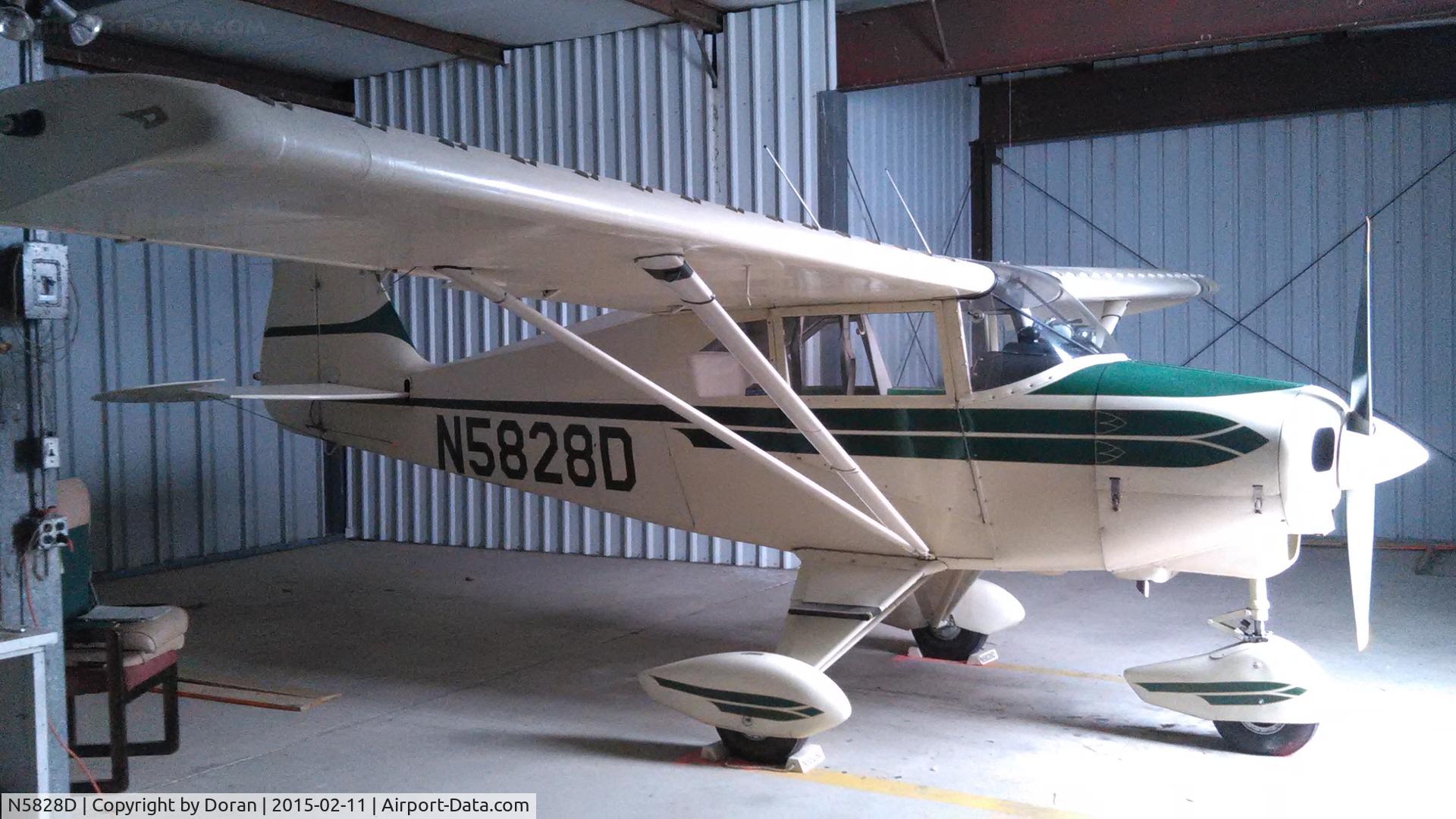 N5828D, 1956 Piper PA-22-150 C/N 22-4503, At home in Ionia,, Mi.