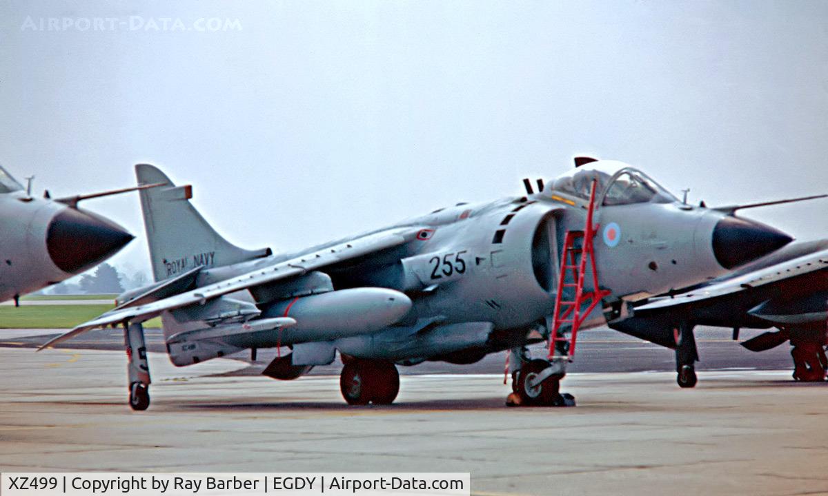XZ499, 1981 British Aerospace Sea Harrier FRS.1 C/N 41H-912023, BAe Sea Harrier F/A.2 [41H-912023] (Royal Navy) RNAS Yeovilton~G 31/07/1982. From aslide.