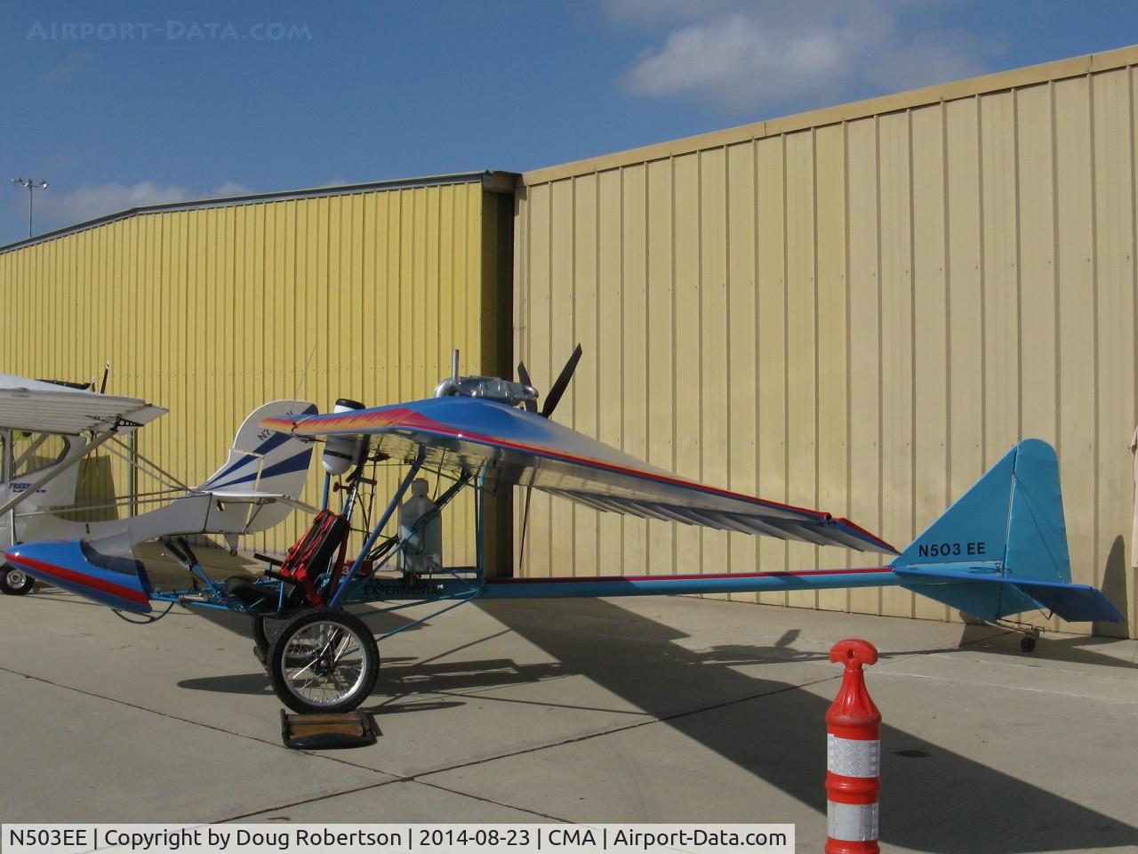 N503EE, Peterson Bill BLUE GOOSE C/N 001, Peterson BLUE GOOSE, probable Rotax 503 pusher