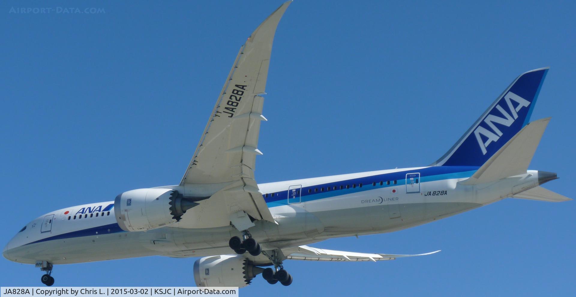 JA828A, 2014 Boeing 787-8 Dreamliner Dreamliner C/N 42248, ANA's 2014 Boeing 787 Dreamliner landing at San Jose International Airport.