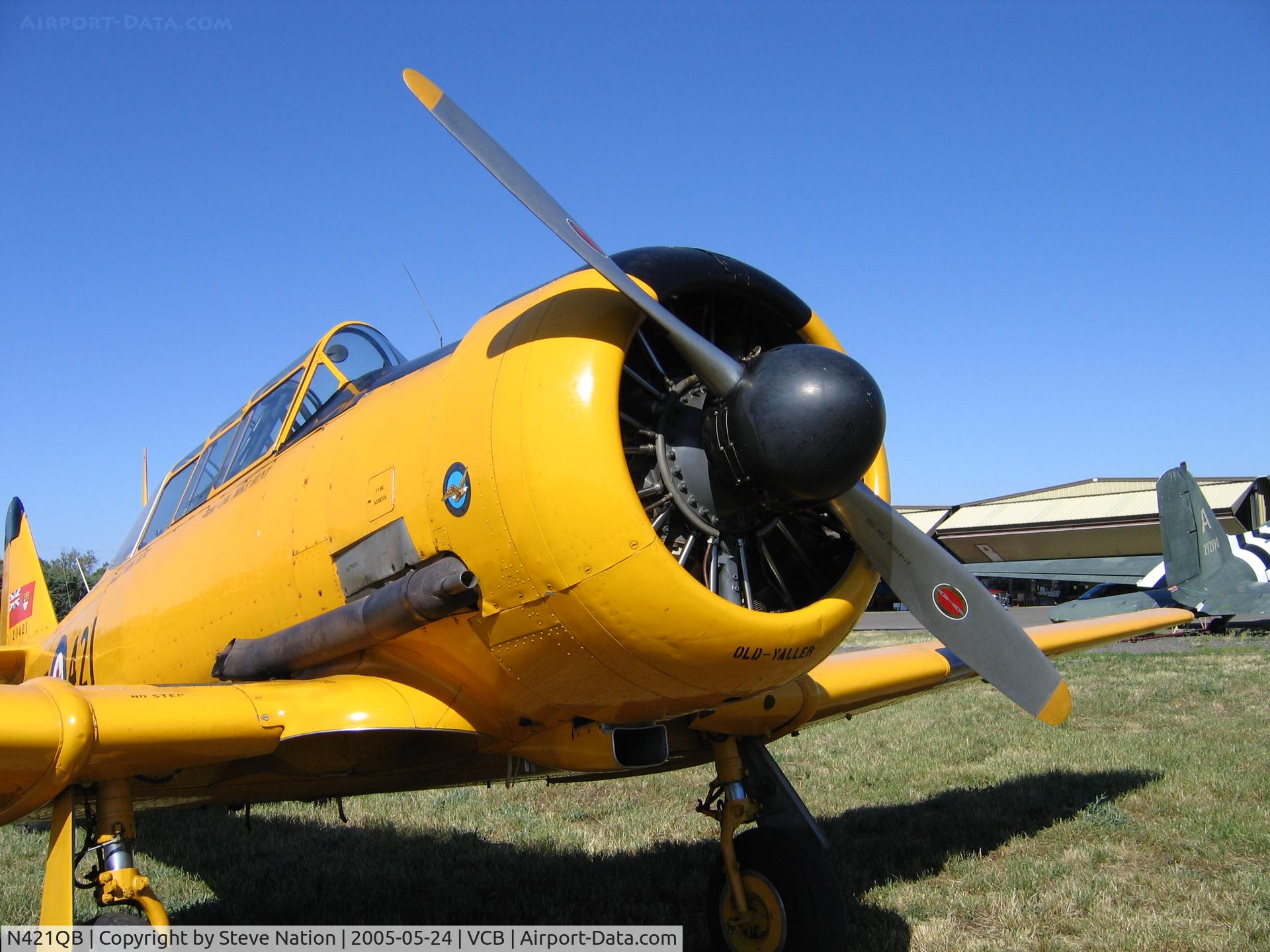 N421QB, 1952 Canadian Car & Foundry Harvard MK IV C/N CCF4-212, Painted as RCAF 421 #20421[close-up nose]
