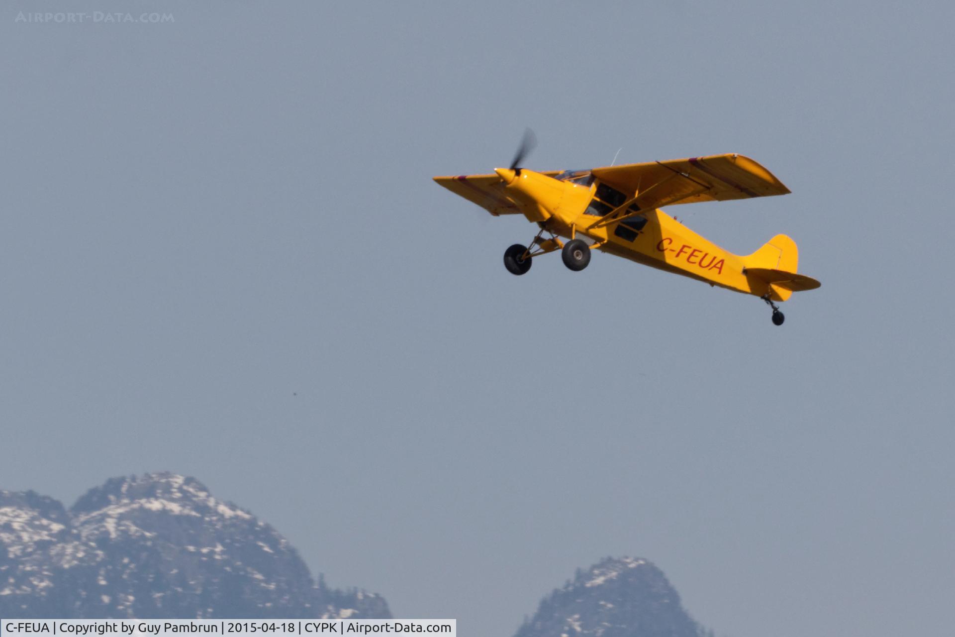 C-FEUA, 2004 Pingert S-210 C/N PIN-004, Landing