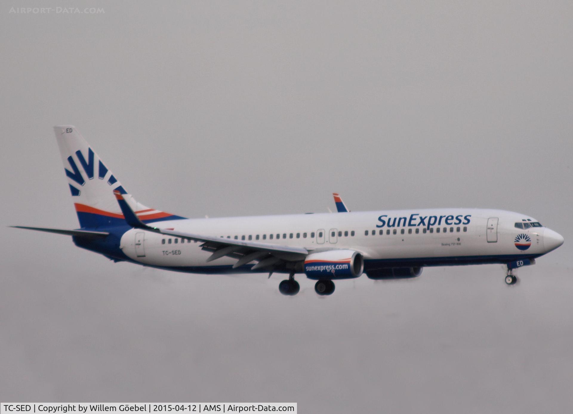 TC-SED, 2000 Boeing 737-8CX C/N 28617, Landing on runway C18 of Schiphol Airport