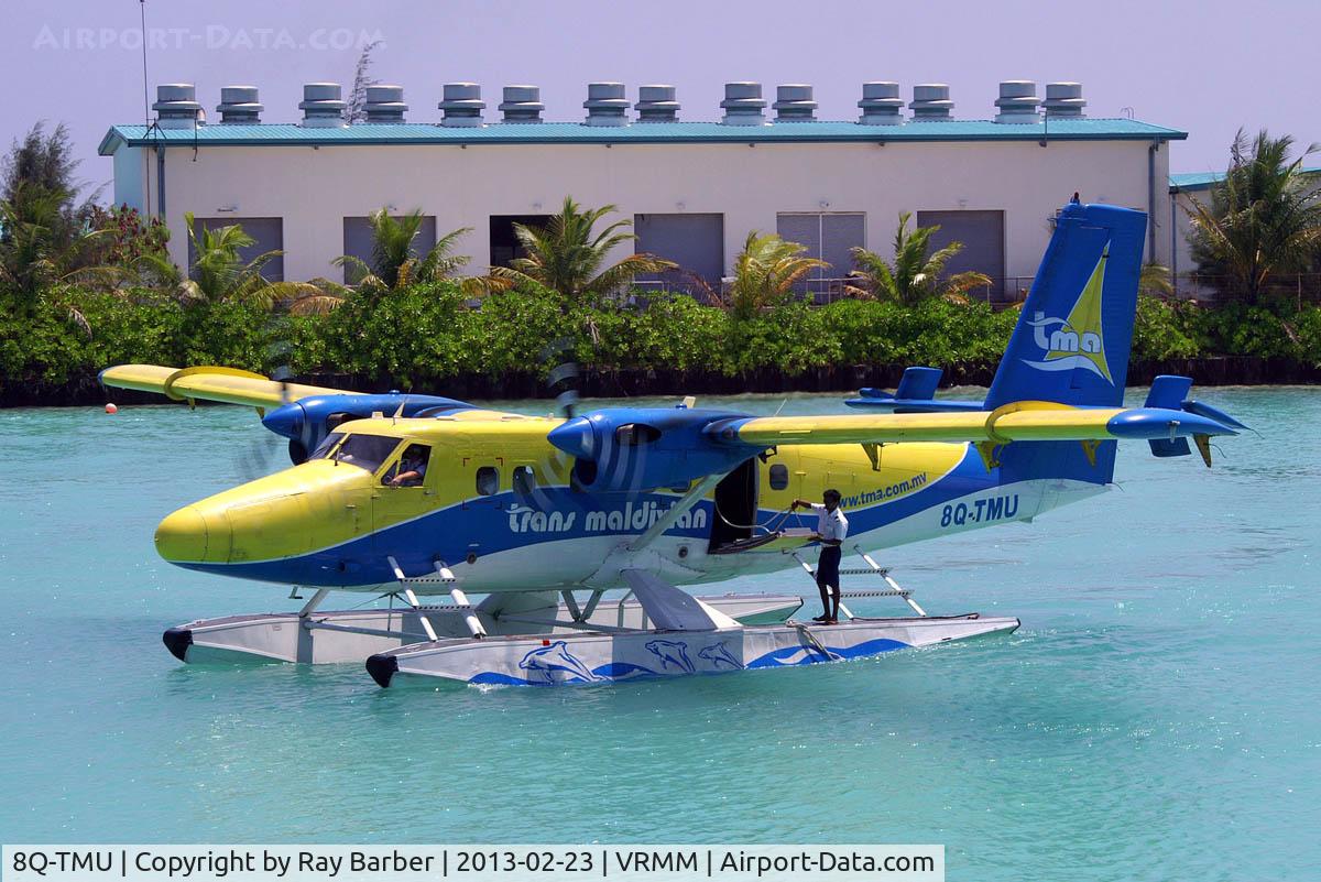 8Q-TMU, 1976 De Havilland Canada DHC-6-300 Twin Otter C/N 467, De Havilland Canada DHC-6-300 Twin Otter [467] (Trans Maldivian Airways) Male International~Maldives 23/02/2013